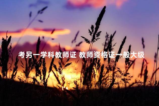 考另一学科教师证 教师资格证一般大级考